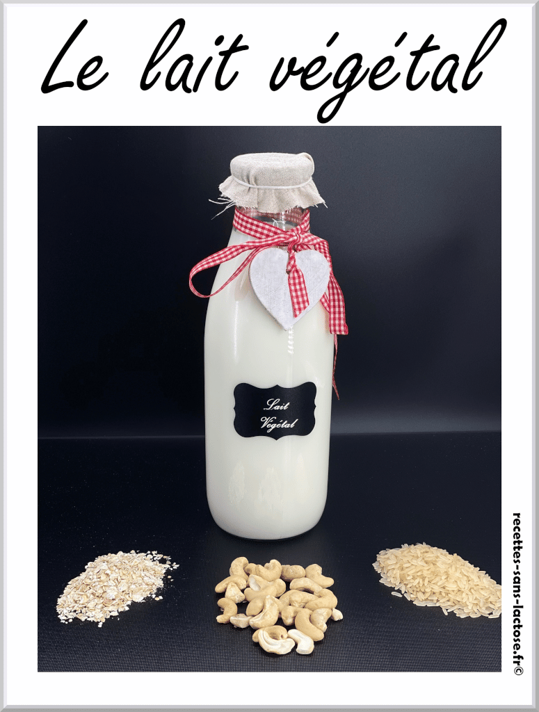 Recette de lait végétal sans lactose maison : ma recette