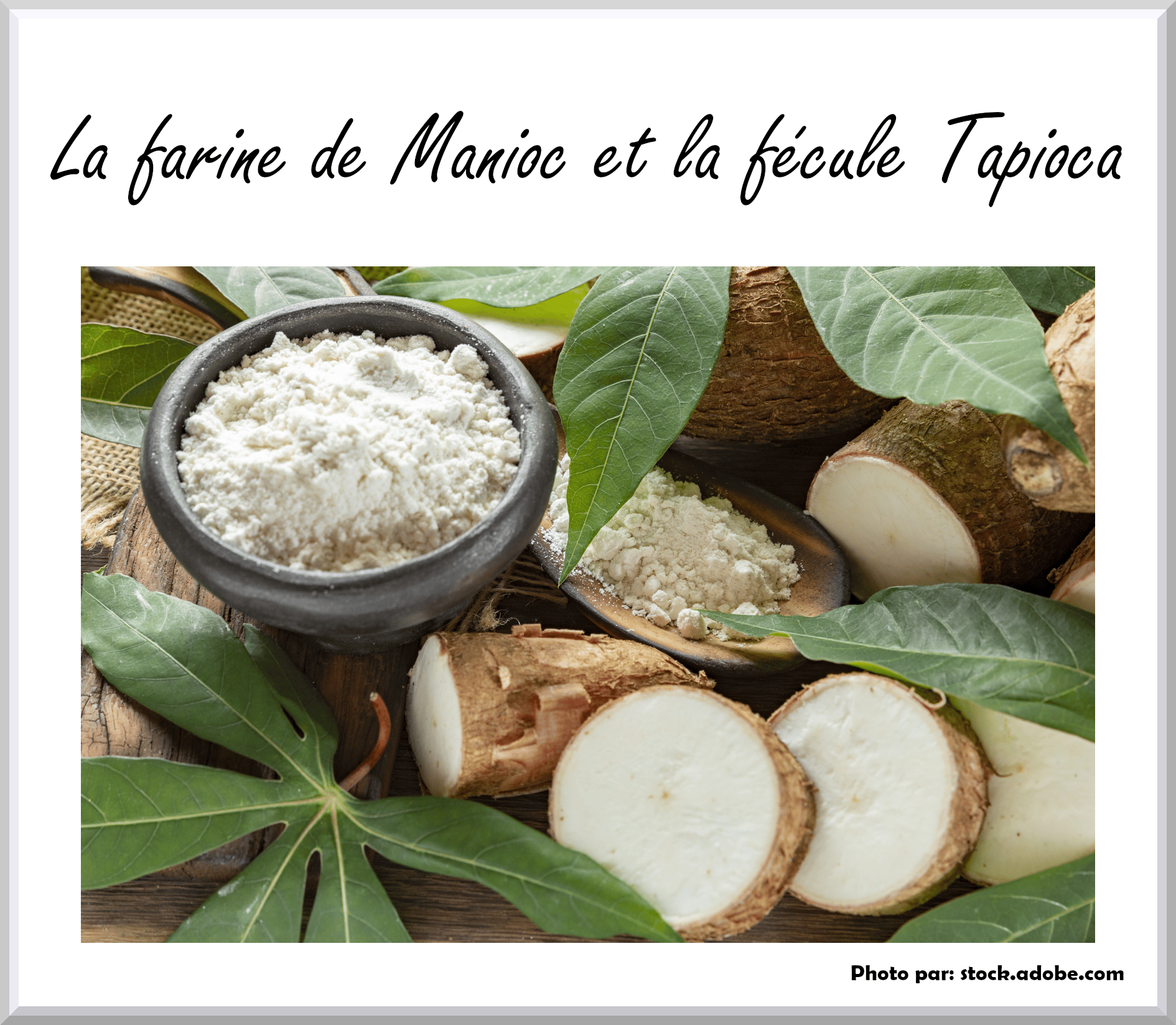 Différences entre la farine de manioc et la fécule tapioca